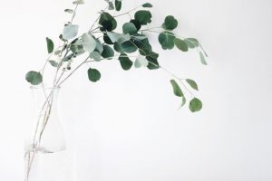 大腸の内視鏡検査を受けてきました。痛みや検査の流れをレポート