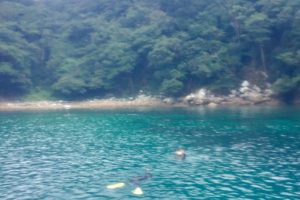 五島・福江島でシュノーケリングを楽しんできました!